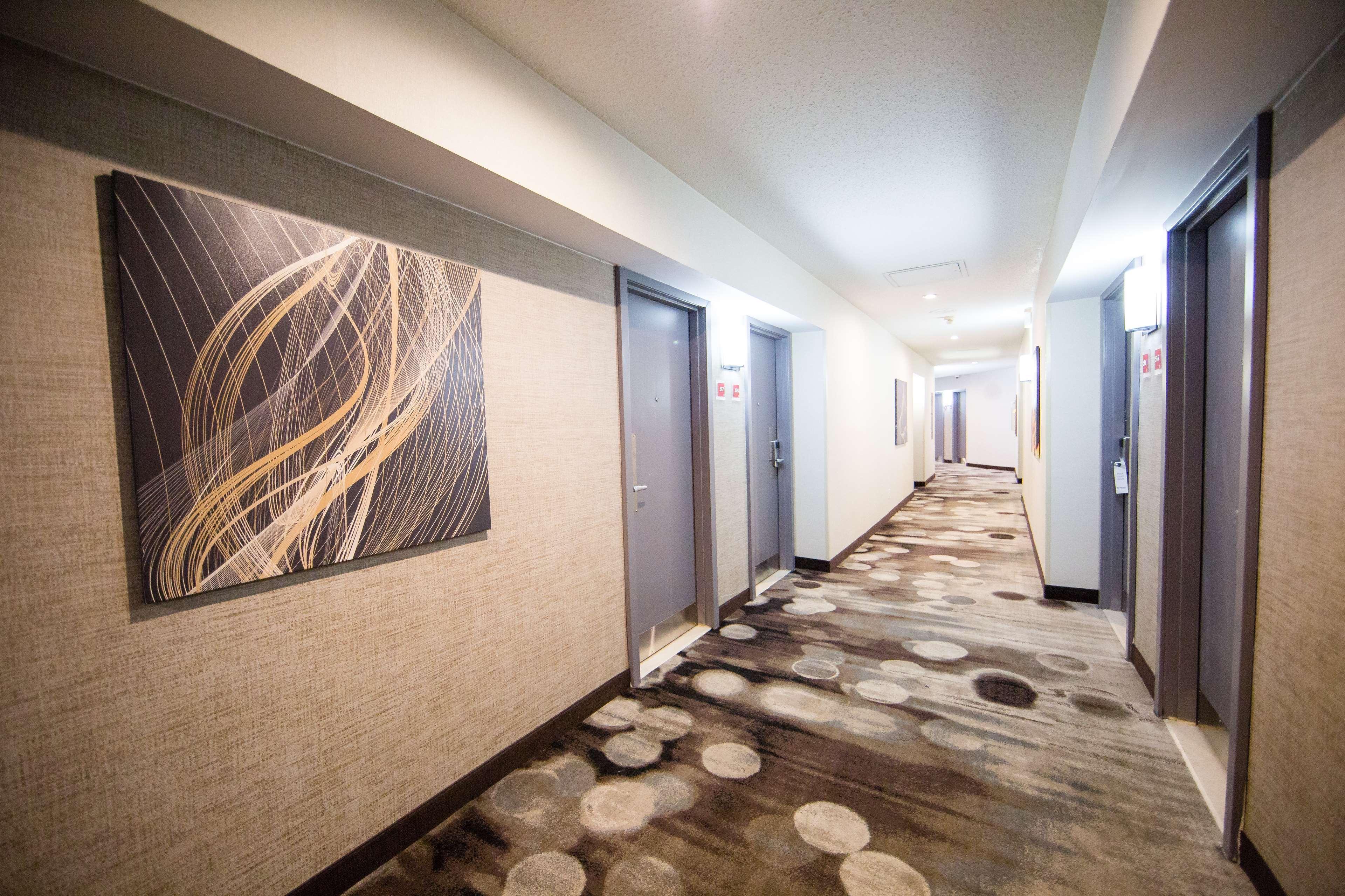 Best Western Plus Ottawa Kanata Hotel And Conference Centre Buitenkant foto